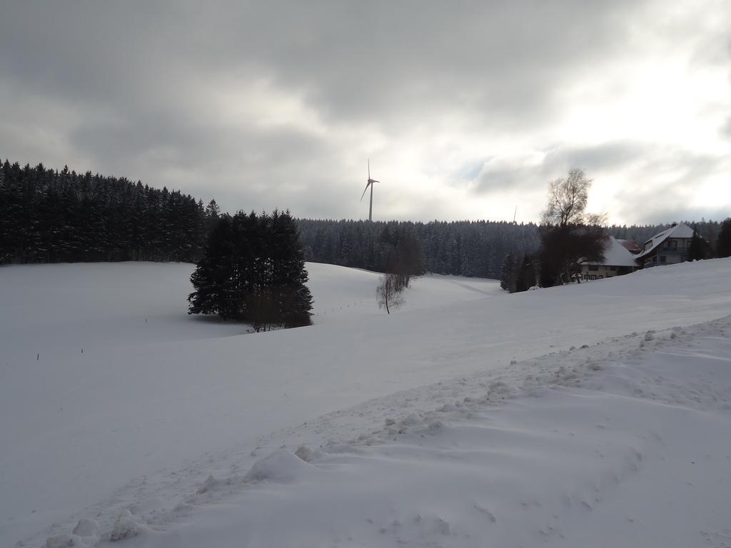 Berghotel Schiller Schonach im Schwarzwald Екстер'єр фото
